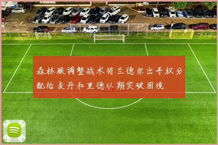 森林狼调整战术将兰德尔出手权分配给麦丹和里德以期突破困境