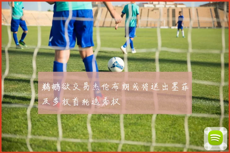 鹈鹕欲交易杰伦布朗或将送出墨菲及多枚首轮选秀权