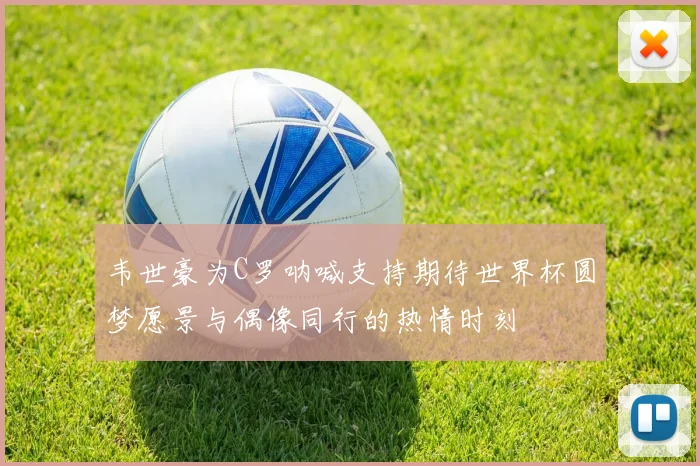 韦世豪为C罗呐喊支持期待世界杯圆梦愿景与偶像同行的热情时刻