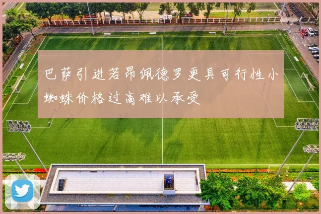 巴萨引进若昂佩德罗更具可行性小蜘蛛价格过高难以承受